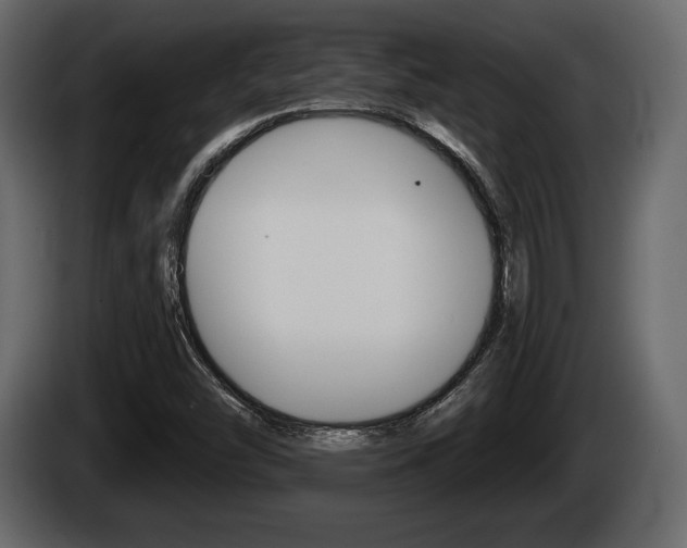 X0000085081454200703051059