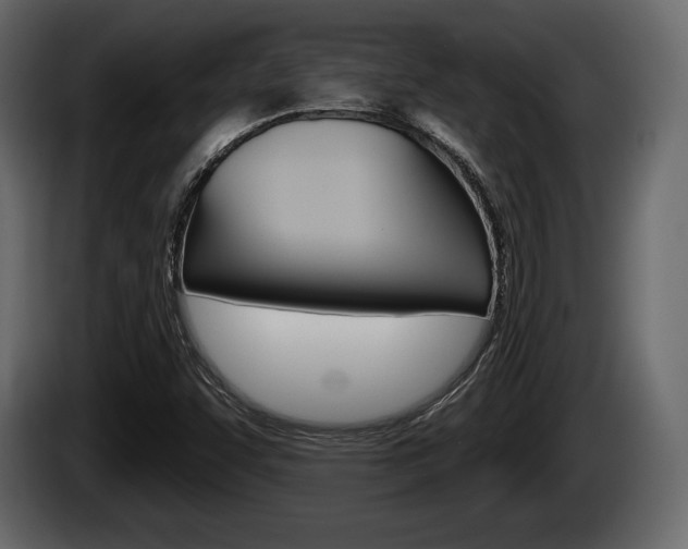 X0000085081455200703051059