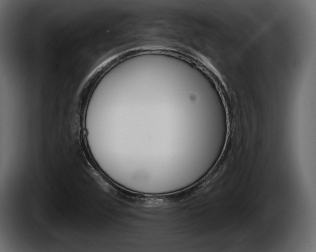 X0000085081456200703051059