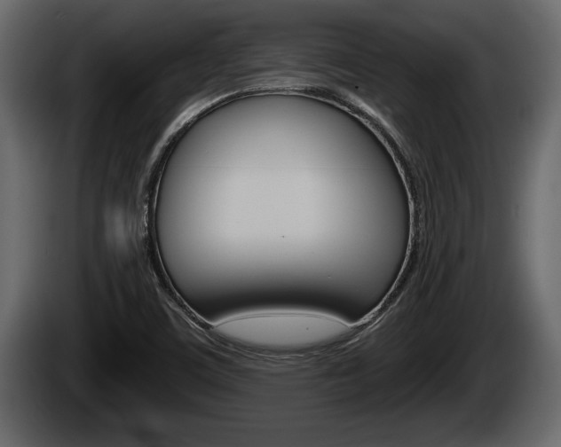 X0000085081459200703051059