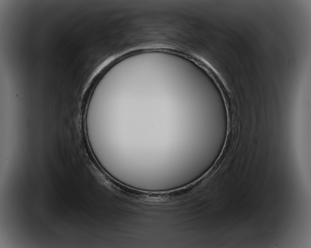 X0000085081460200703051059