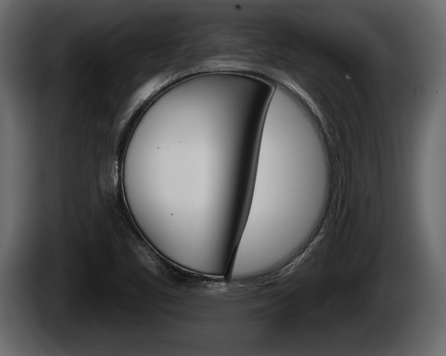 X0000085081461200703051059