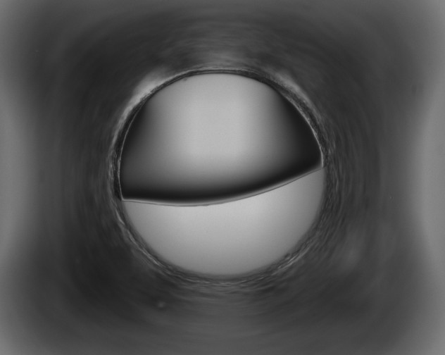 X0000085081463200703051059