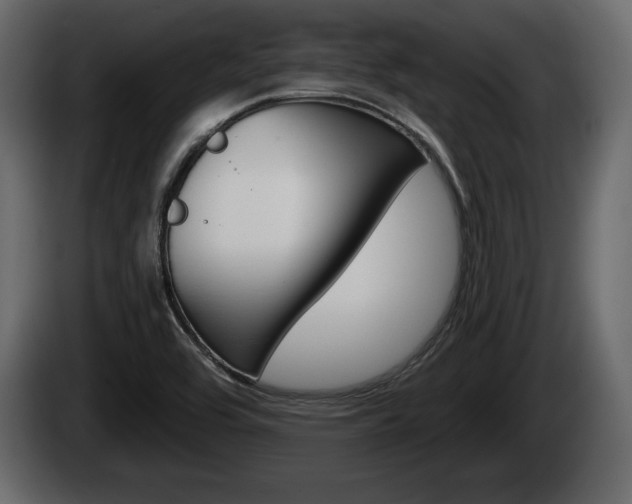 X0000085081464200703051059
