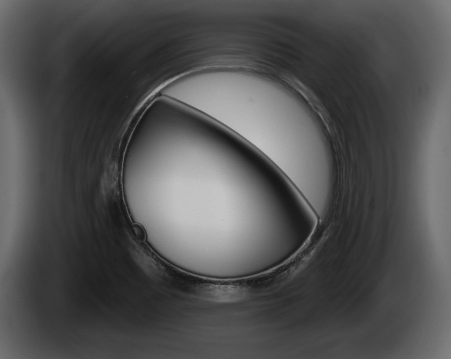 X0000085081465200703051059
