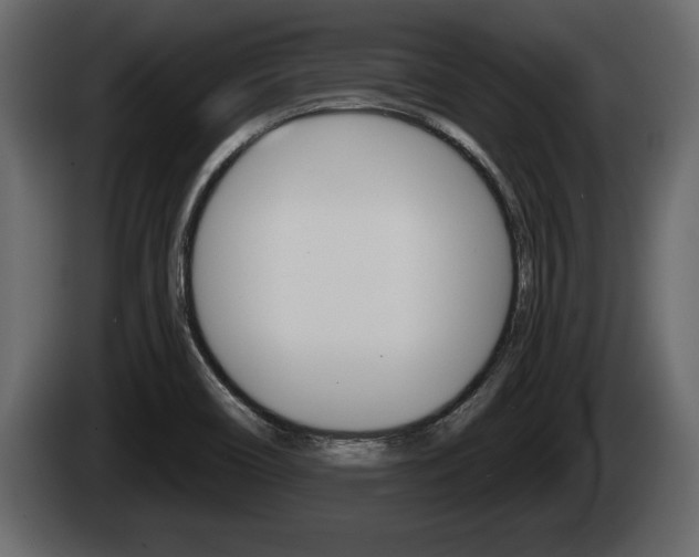 X0000085081466200703051059