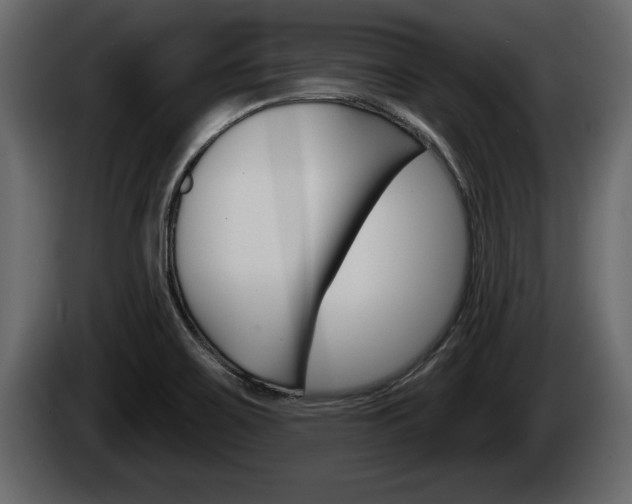 X0000085081467200703051059
