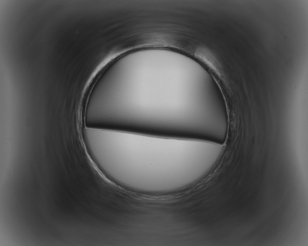 X0000085081468200703051059