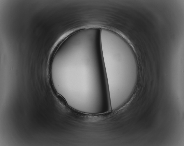 X0000085081469200703051059
