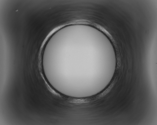 X0000085081470200703051059