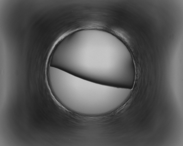 X0000085081471200703051059