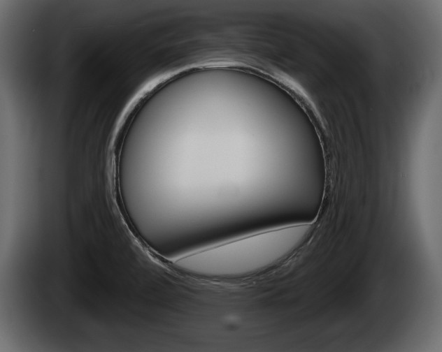 X0000085081472200703051059