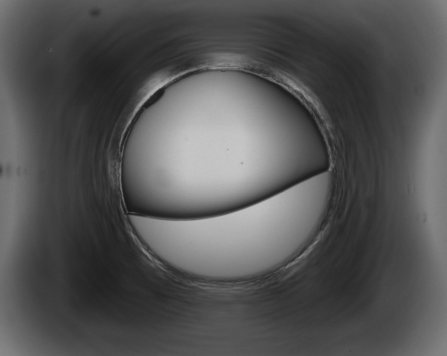 X0000085081473200703051059
