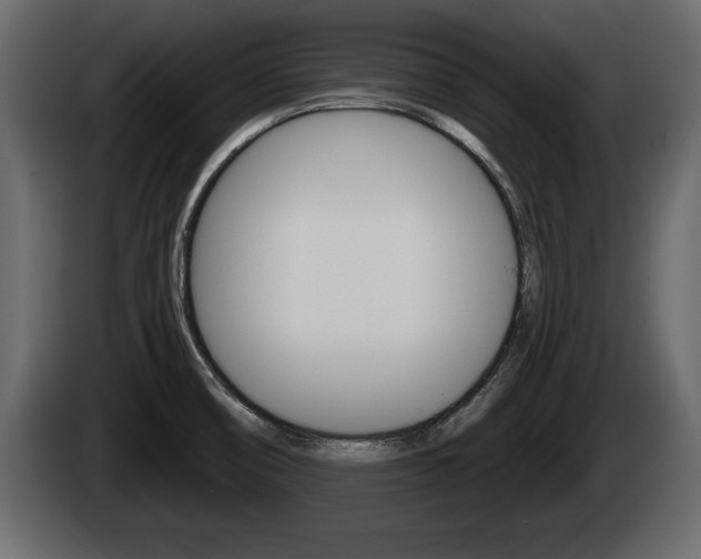 X0000085081474200703051059