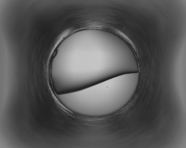 X0000085081475200703051059