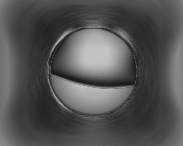 X0000085081476200703051059