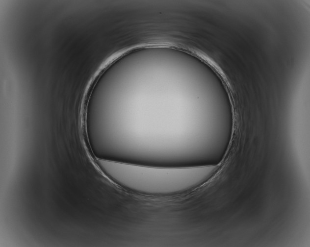 X0000085081477200703051059