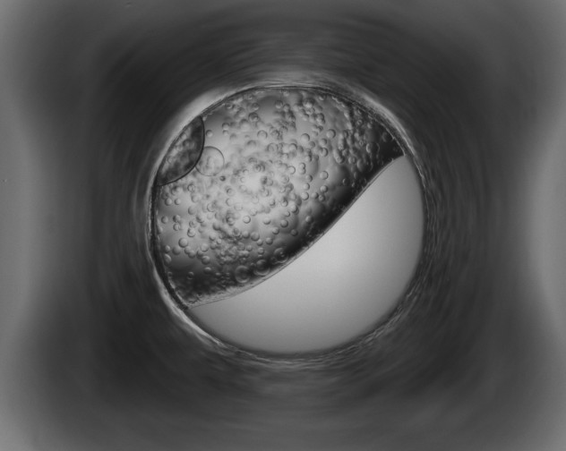 X0000085081479200703051059