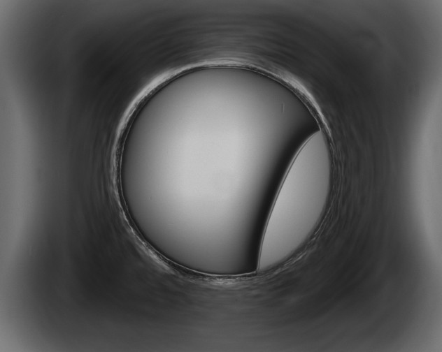 X0000085081480200703051059