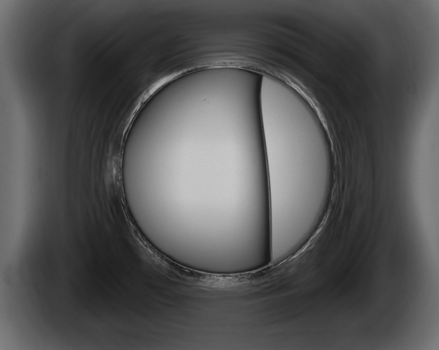 X0000085081481200703051059