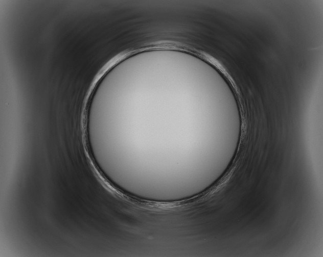 X0000085081482200703051059