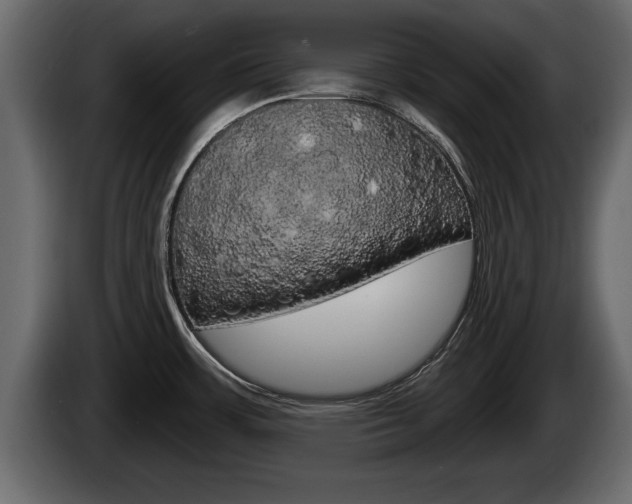X0000085081483200703051059