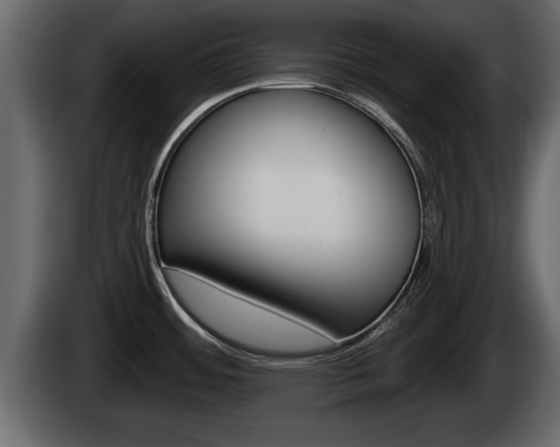 X0000085081484200703051059