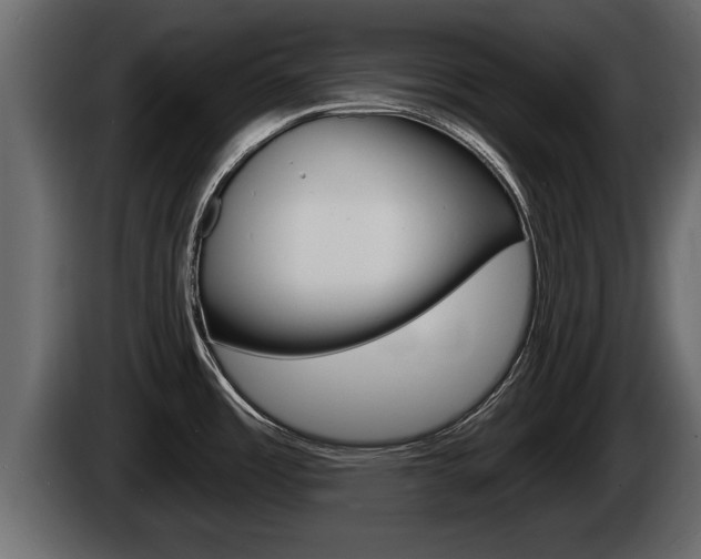 X0000085081485200703051059