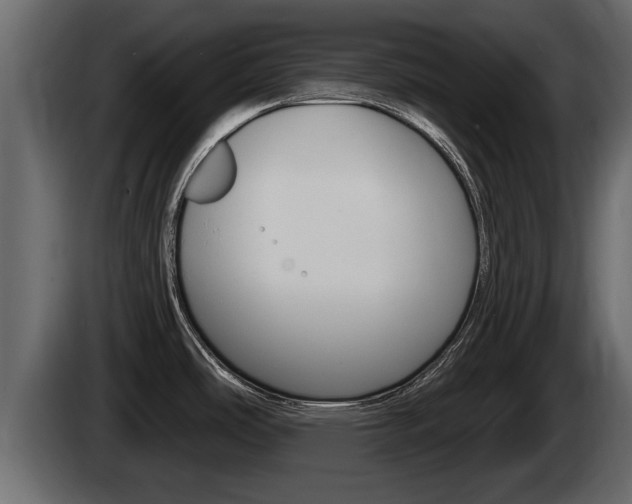 X0000085081486200703051059