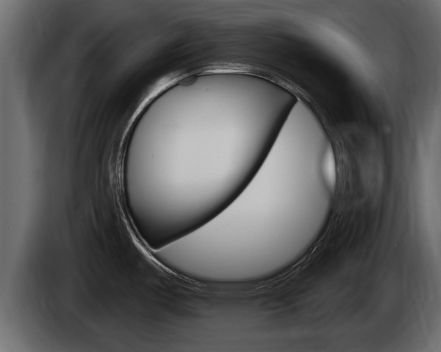 X0000085081487200703051059