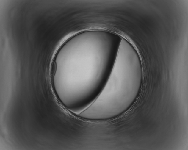 X0000085081488200703051059