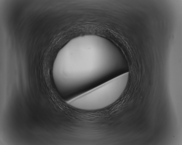 X0000085081489200703051058