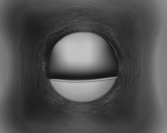 X0000085081490200703051058