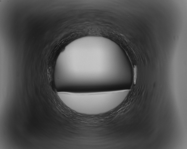 X0000085081491200703051058
