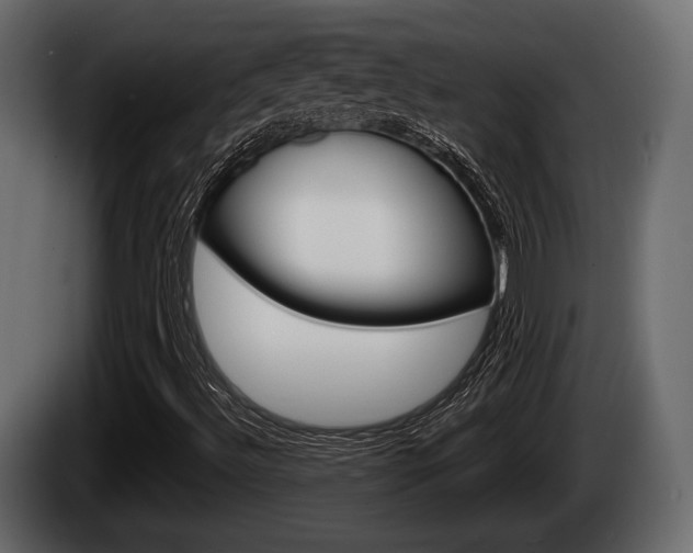 X0000085081492200703051058