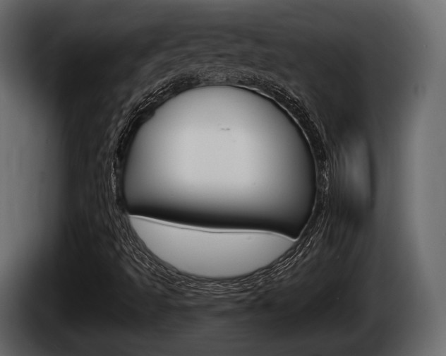 X0000085081493200703051058
