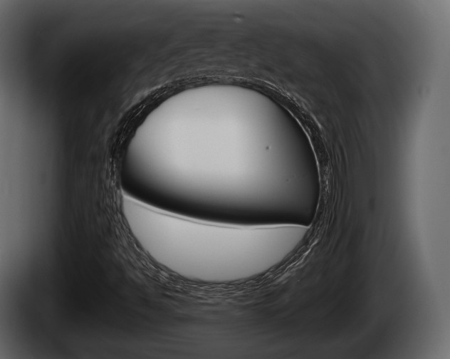 X0000085081494200703051058