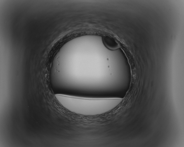 X0000085081495200703051058