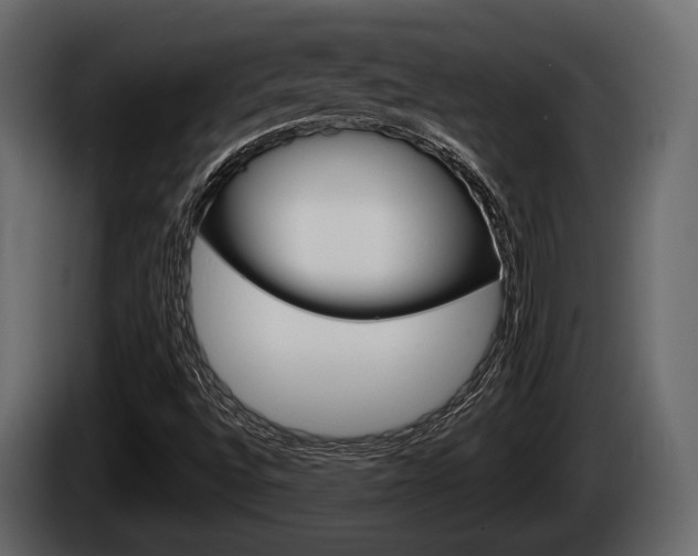 X0000085081496200703051058