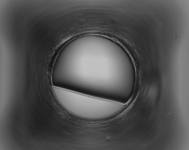X0000085081497200703051058