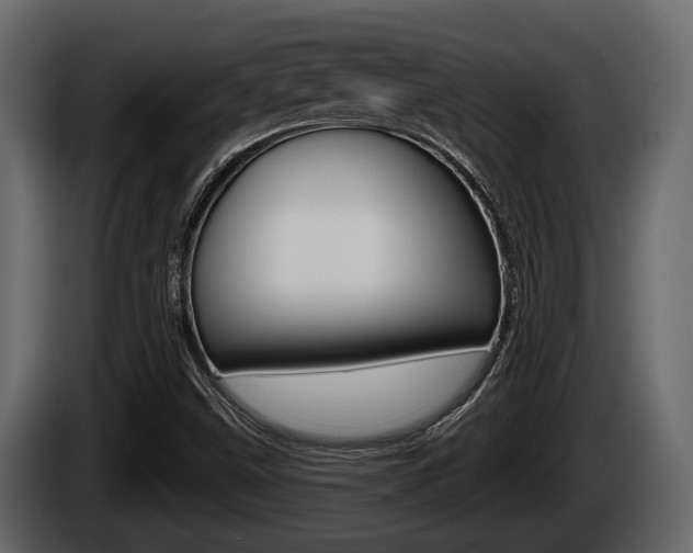 X0000085081499200703051058