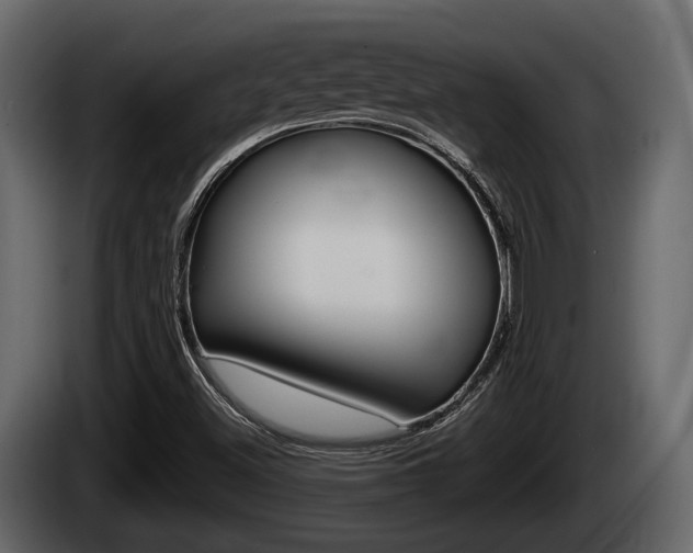 X0000085081500200703051058