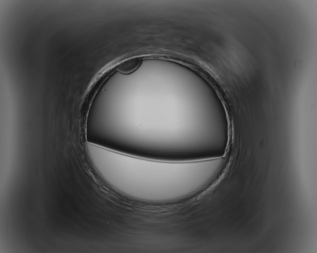 X0000085081501200703051058