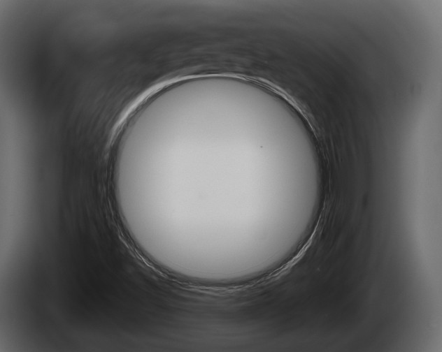 X0000085081502200703051058