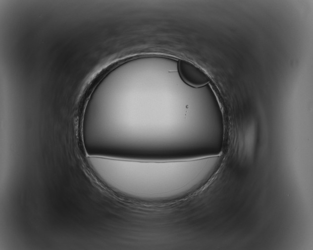 X0000085081503200703051058