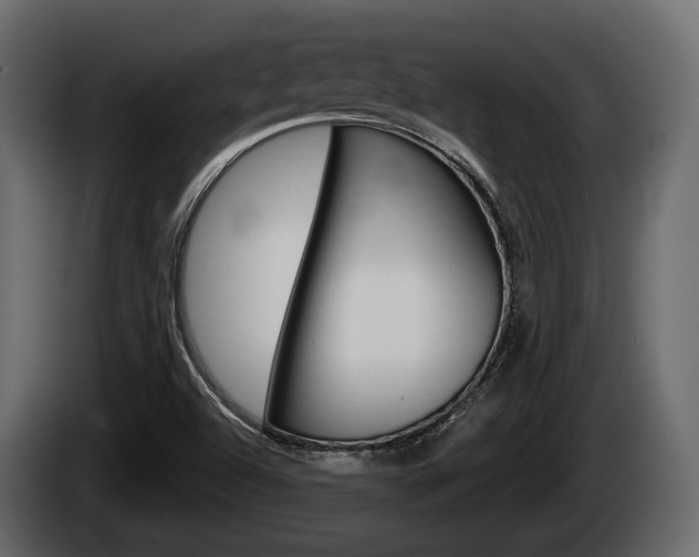 X0000085081504200703051058