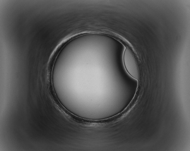 X0000085081506200703051058