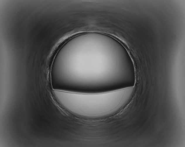 X0000085081507200703051058
