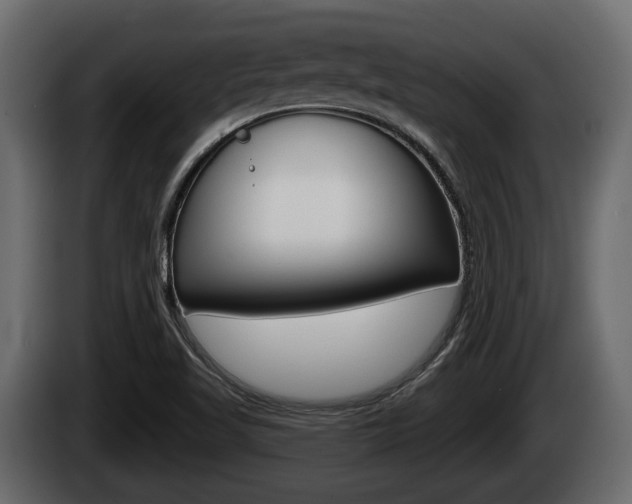 X0000085081509200703051058