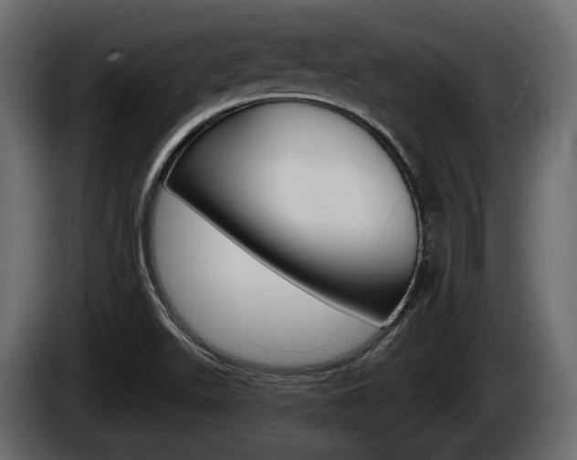 X0000085081511200703051058